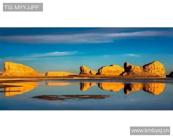 约基奇新赛季表现惊艳场均204分144板108助助力球队争冠